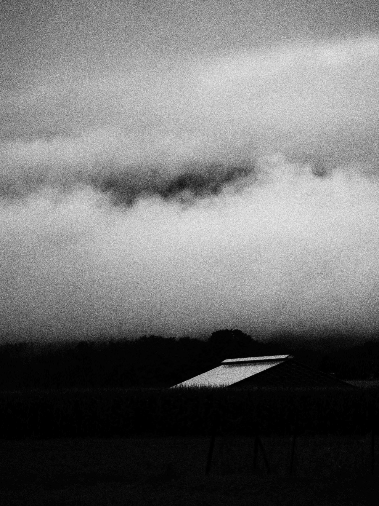 Archillect ID 371005