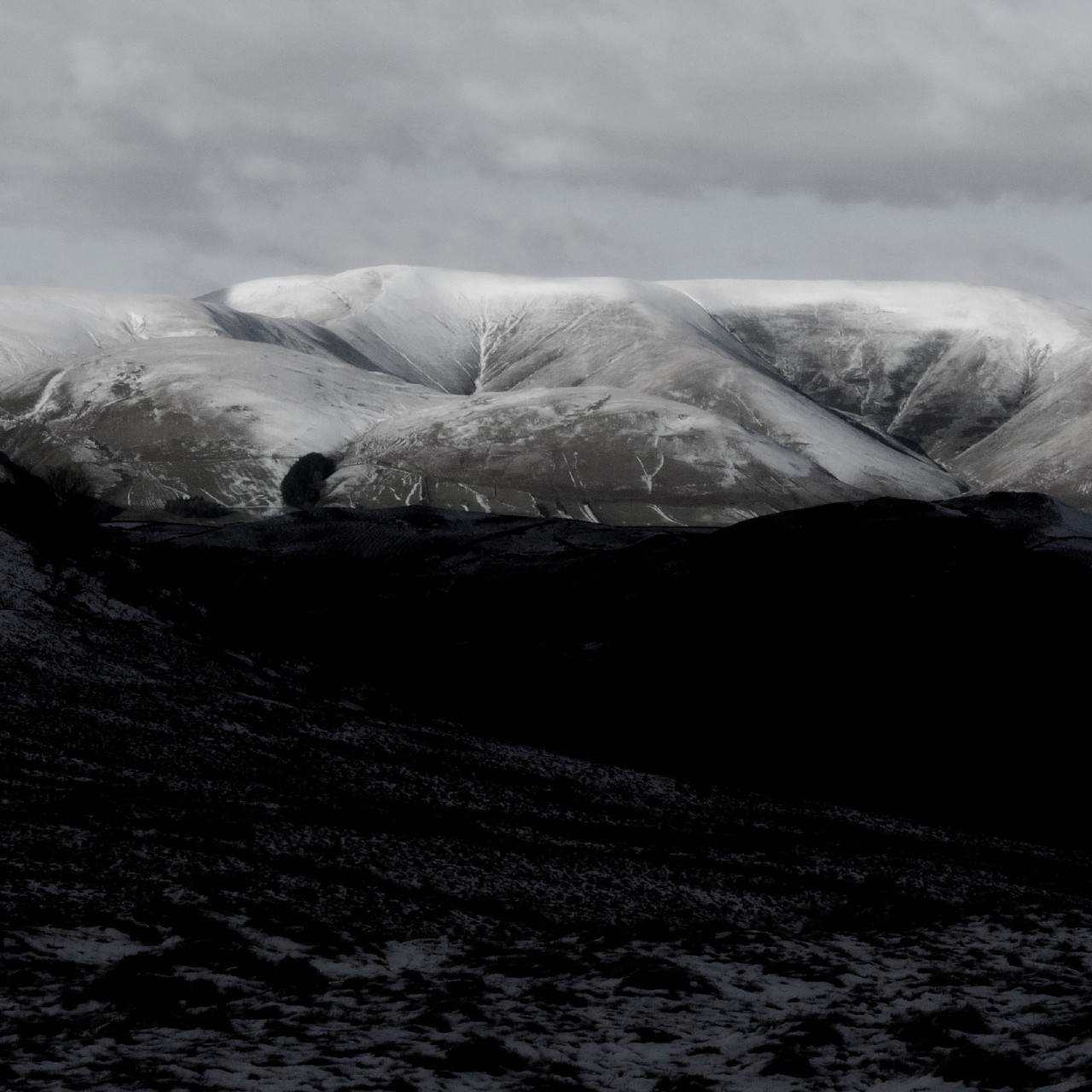 Archillect ID 371046