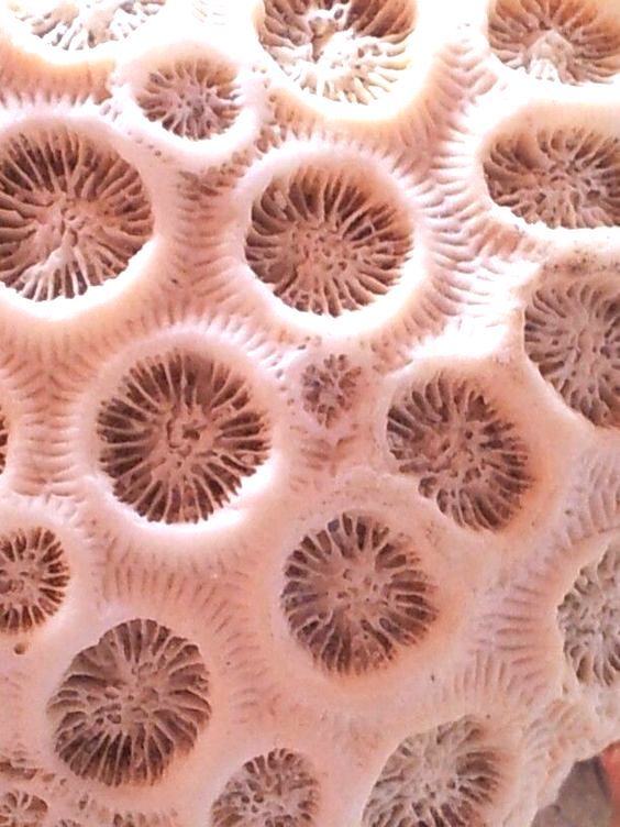 Archillect ID 371051