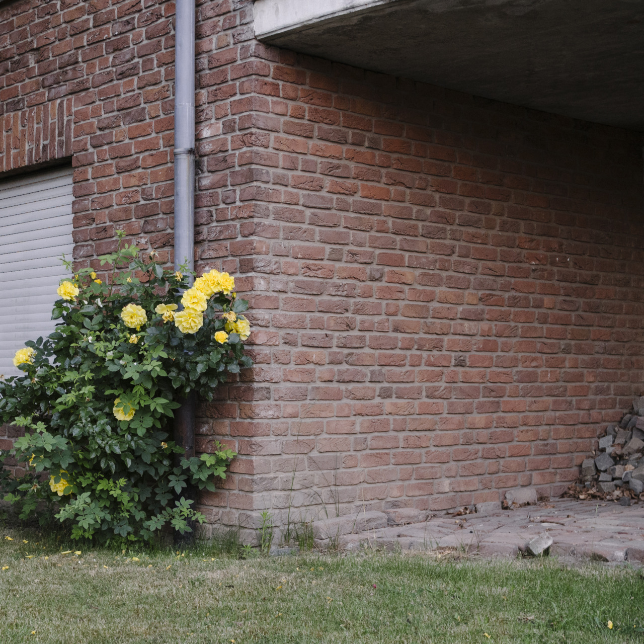 Archillect ID 371125