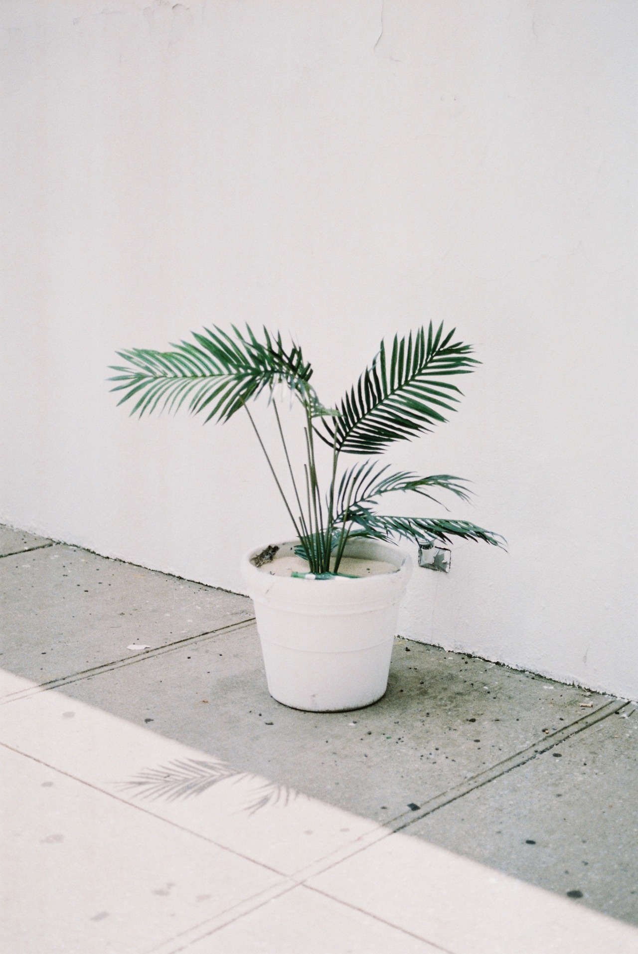 Archillect ID 371127