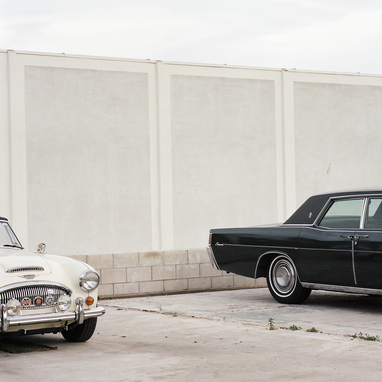 Archillect ID 371192