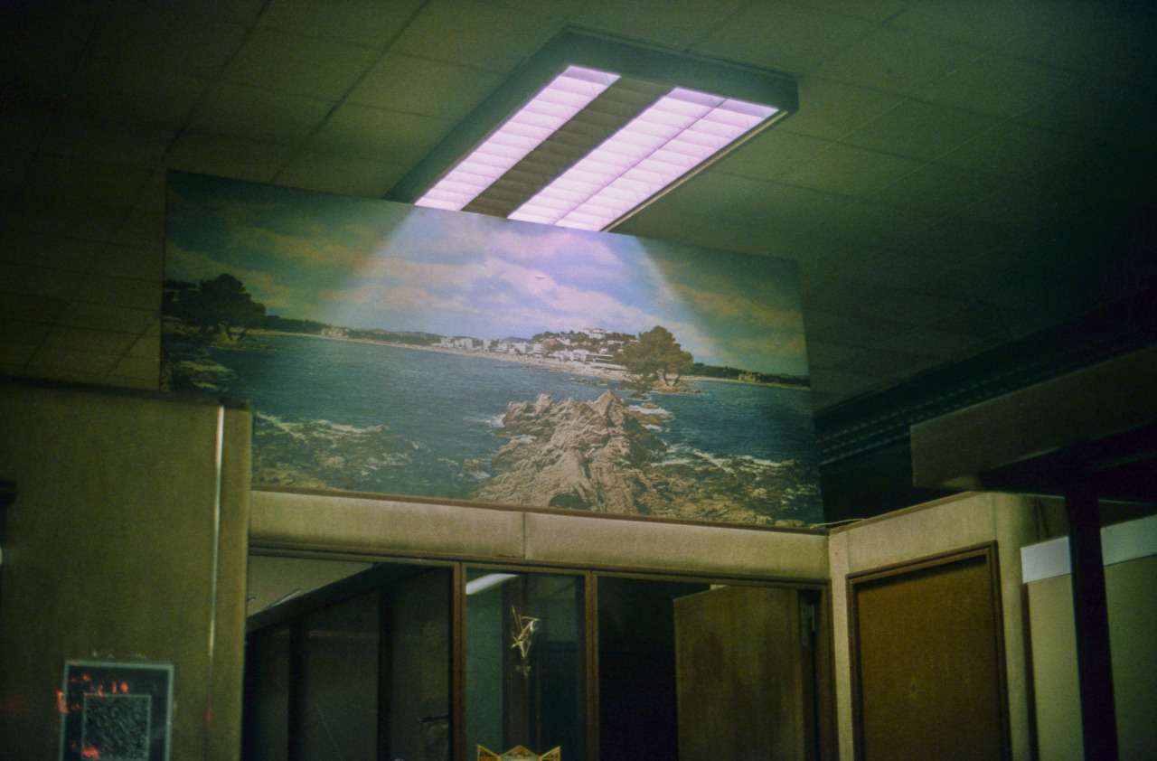 Archillect ID 371215