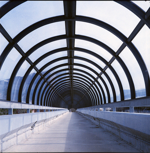 Archillect ID 371218