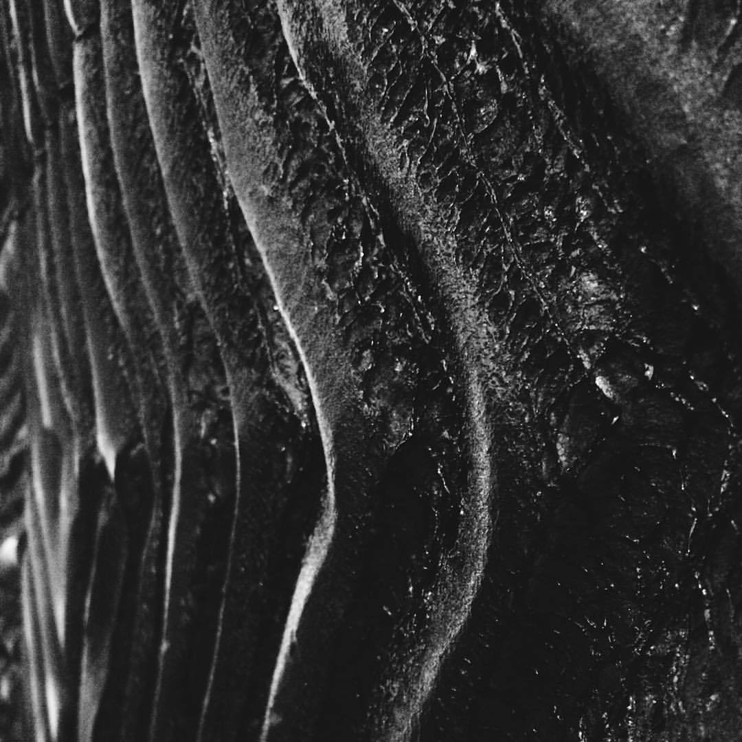 Archillect ID 371227