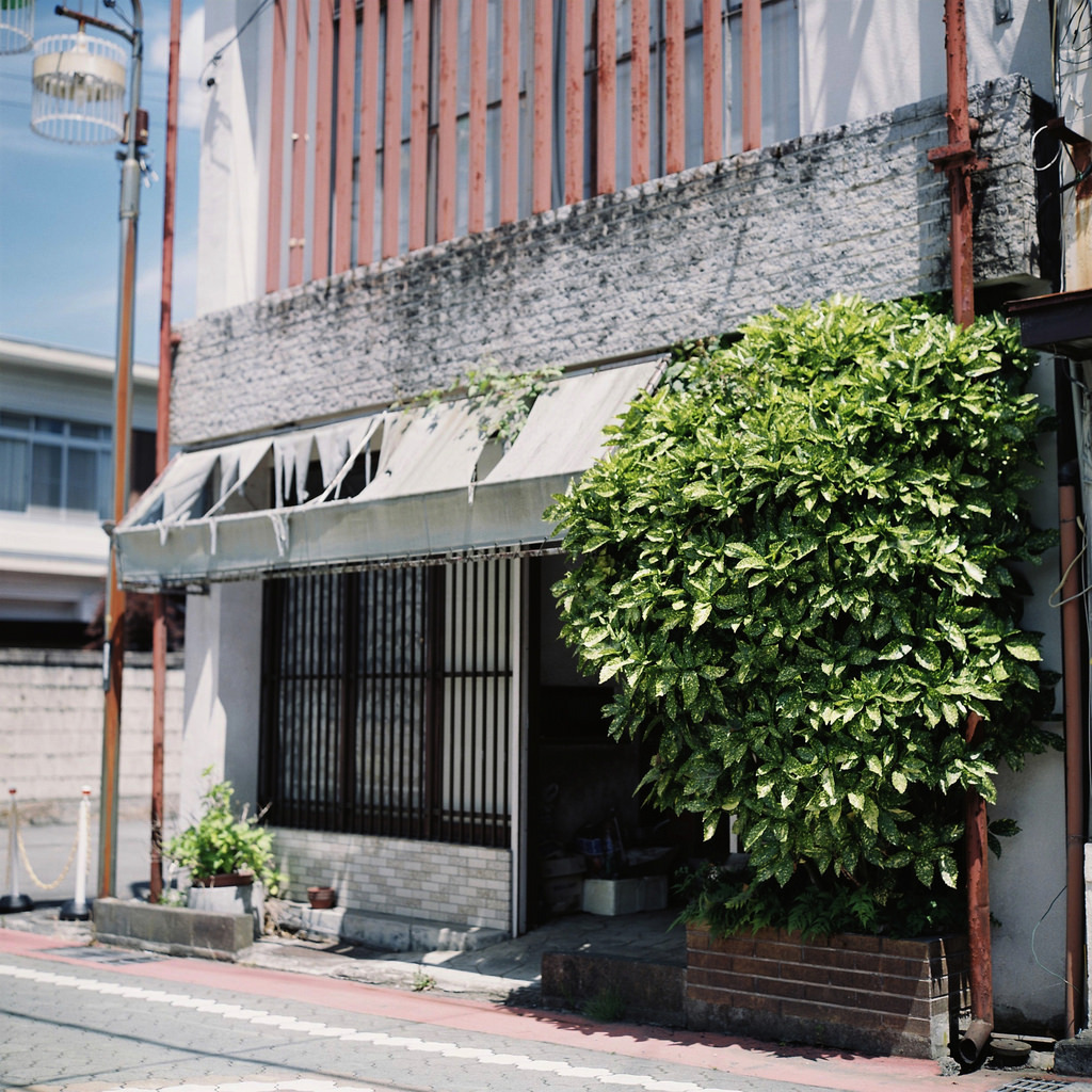 Archillect ID 371262