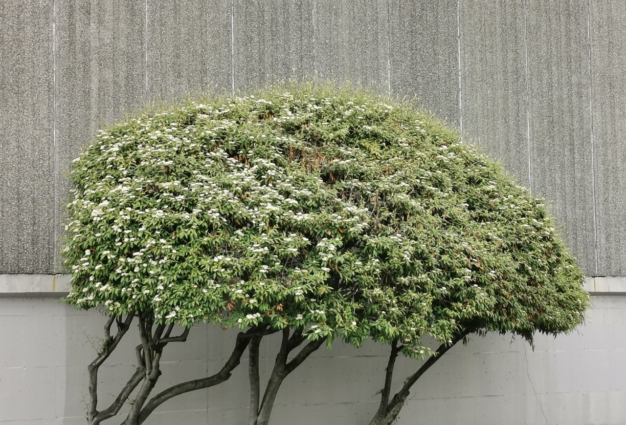 Archillect ID 371289