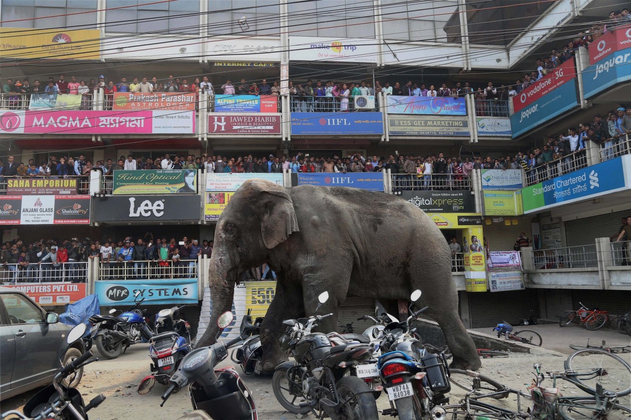 Archillect ID 371310