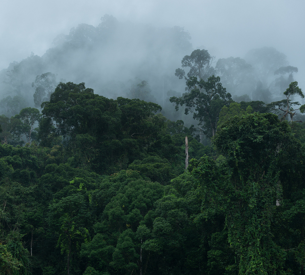 Archillect ID 371317