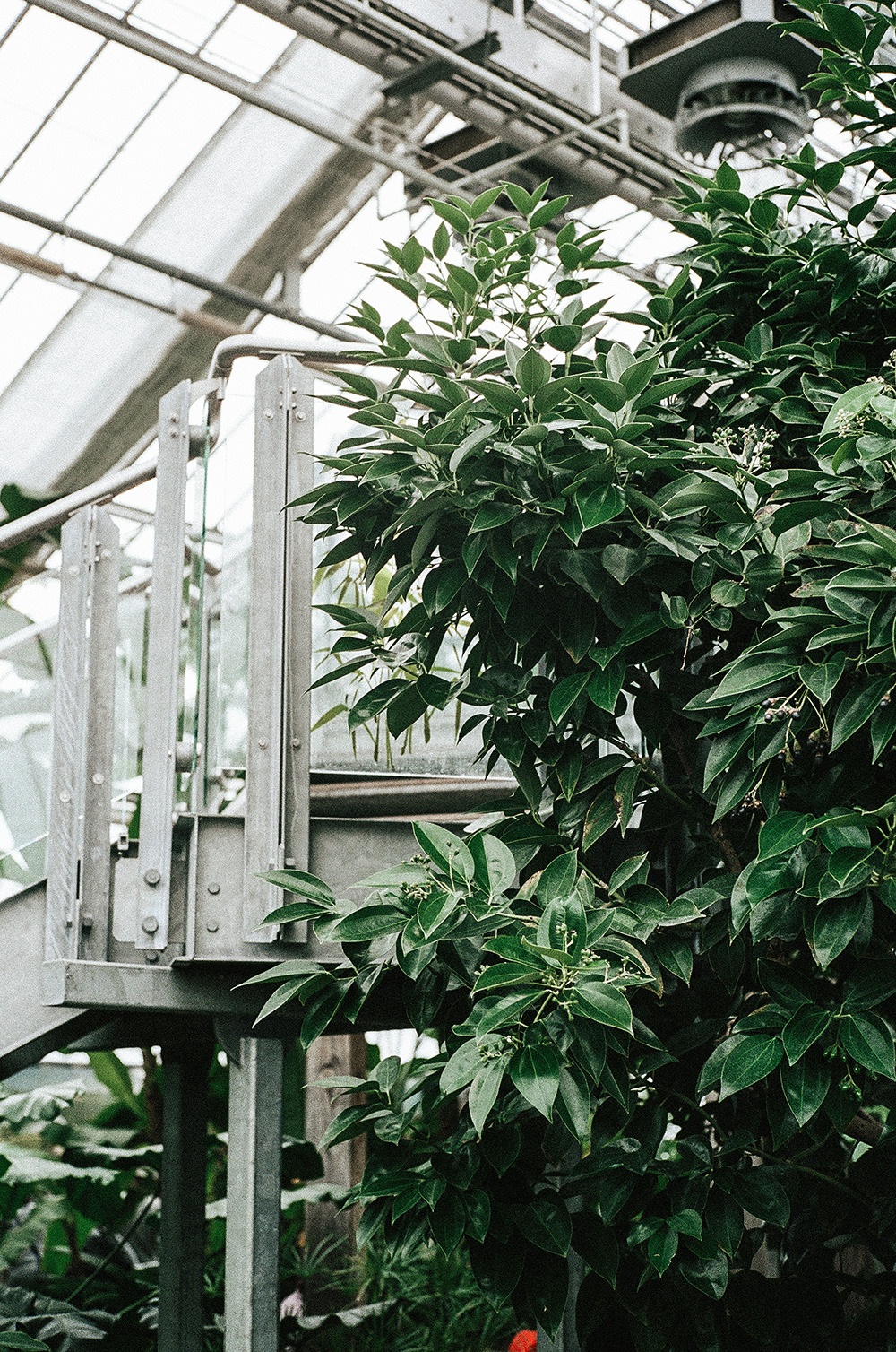 Archillect ID 371334