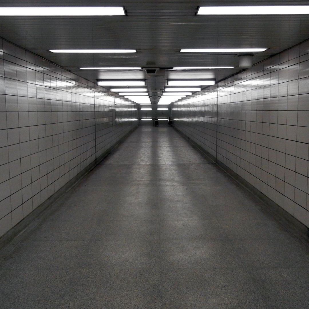 Archillect ID 371340