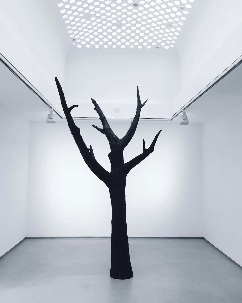 Archillect ID 371352