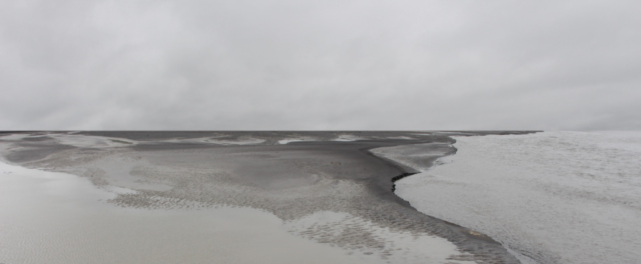 Archillect ID 371394