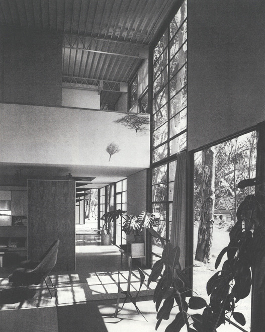 Archillect ID 371399