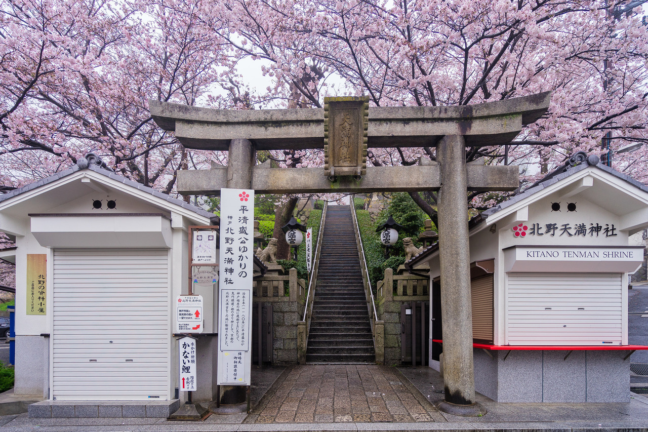 Archillect ID 371417