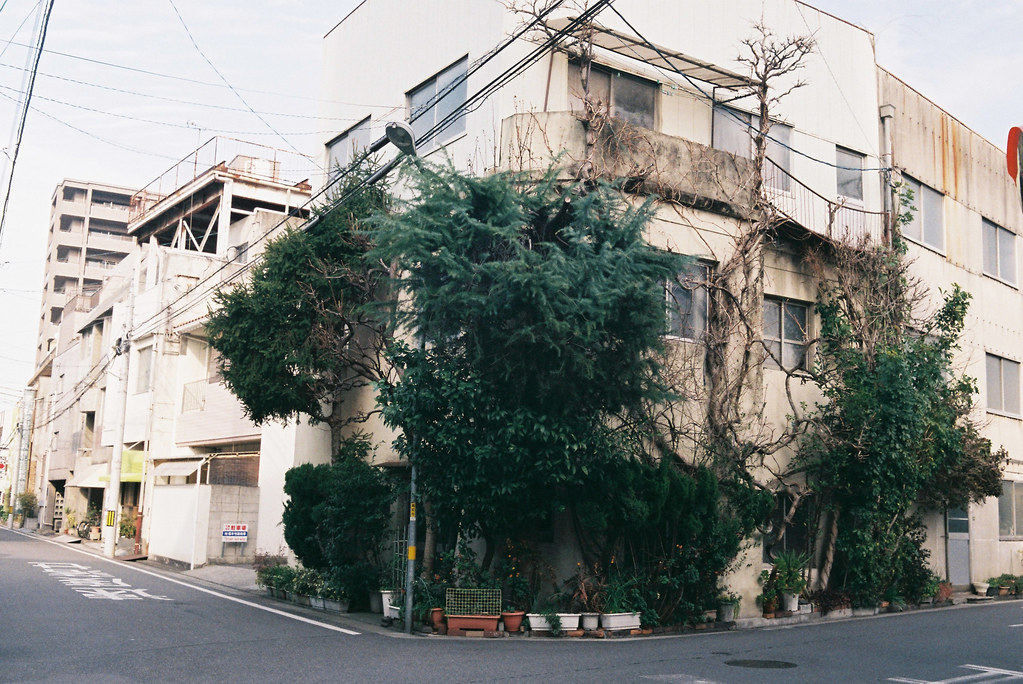 Archillect ID 371442