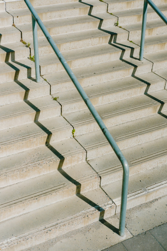 Archillect ID 371447