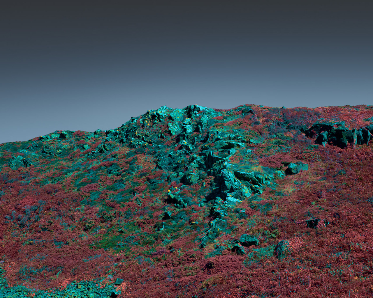 Archillect ID 371492