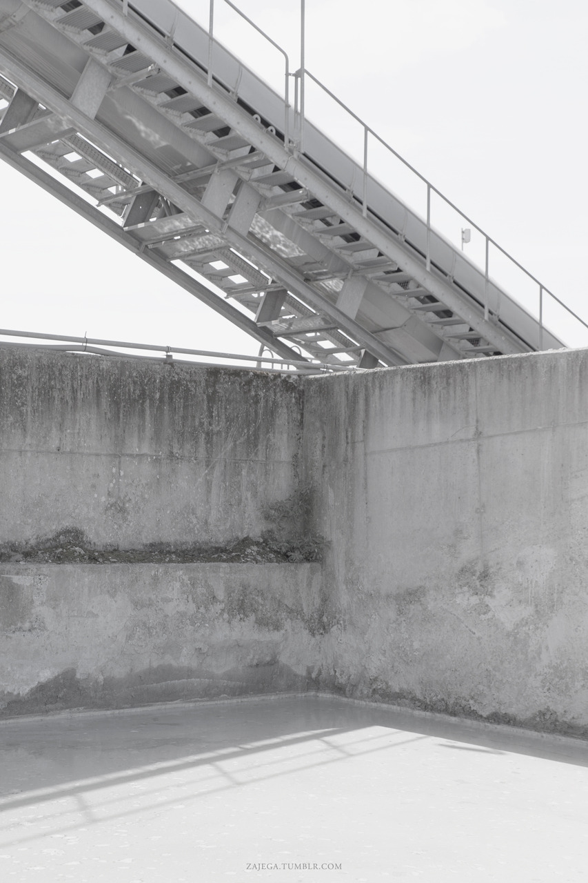 Archillect ID 371501