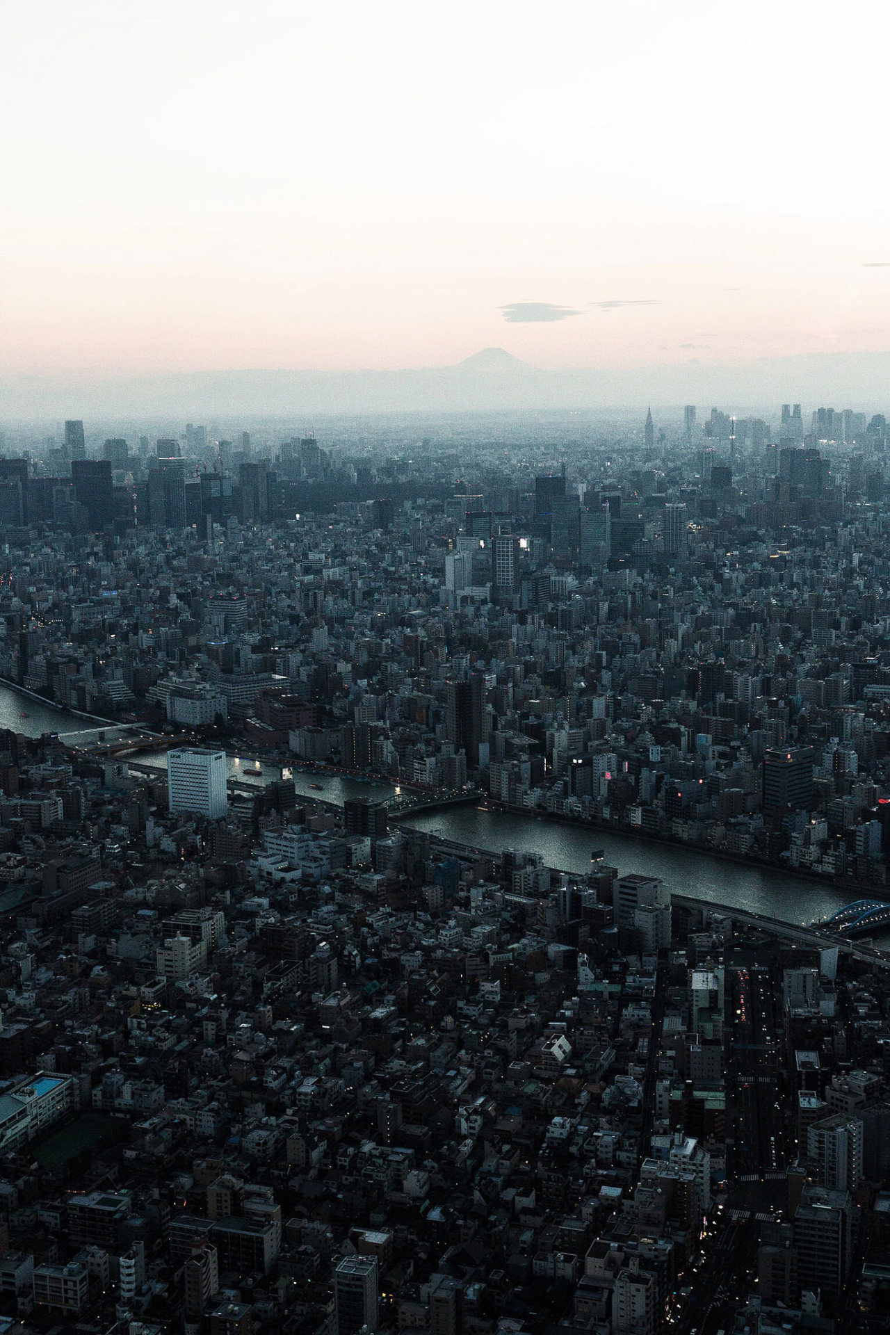 Archillect ID 371532