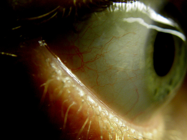 Archillect ID 371563