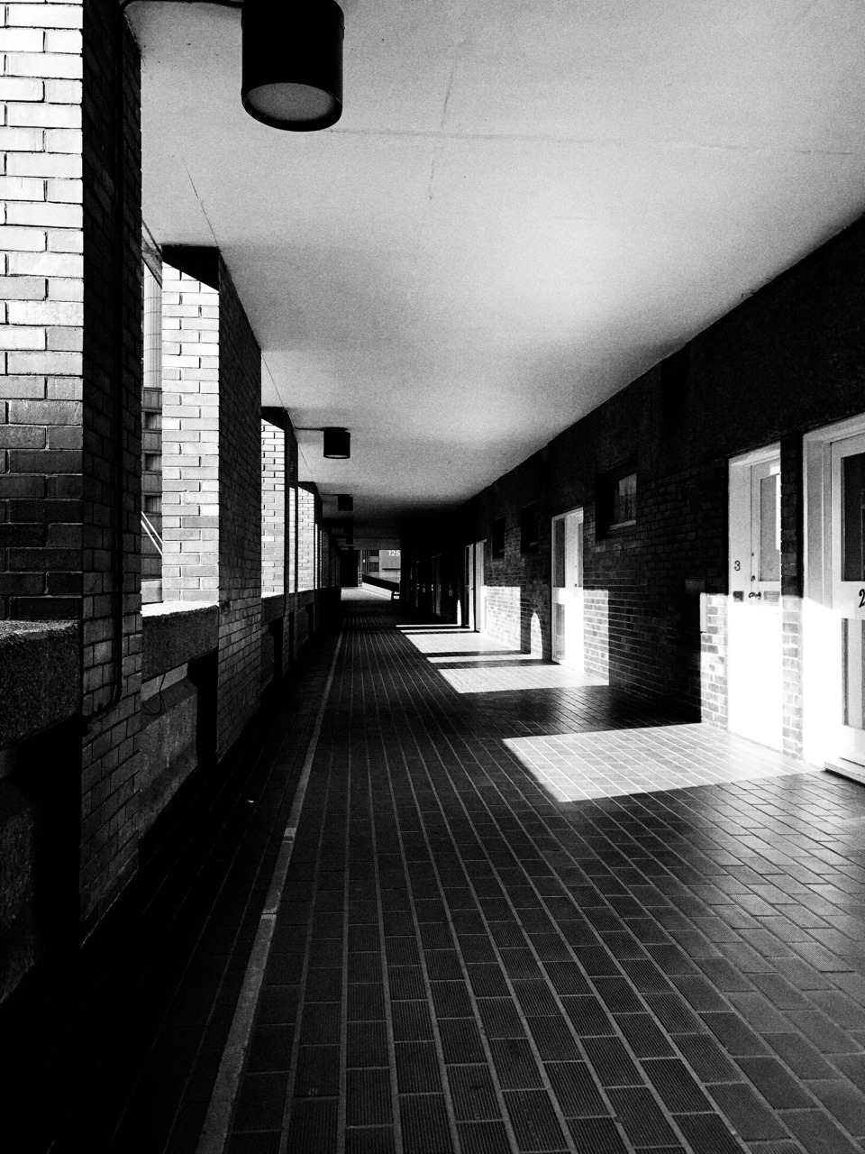 Archillect ID 371630