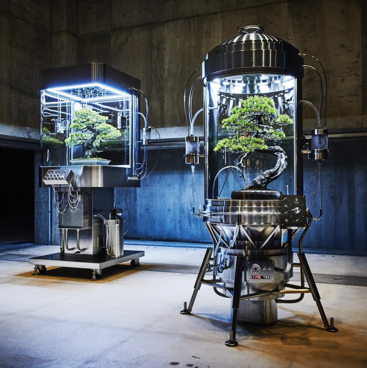 Archillect ID 371662