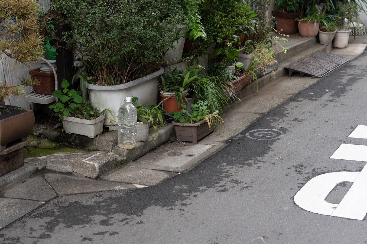 Archillect ID 371663