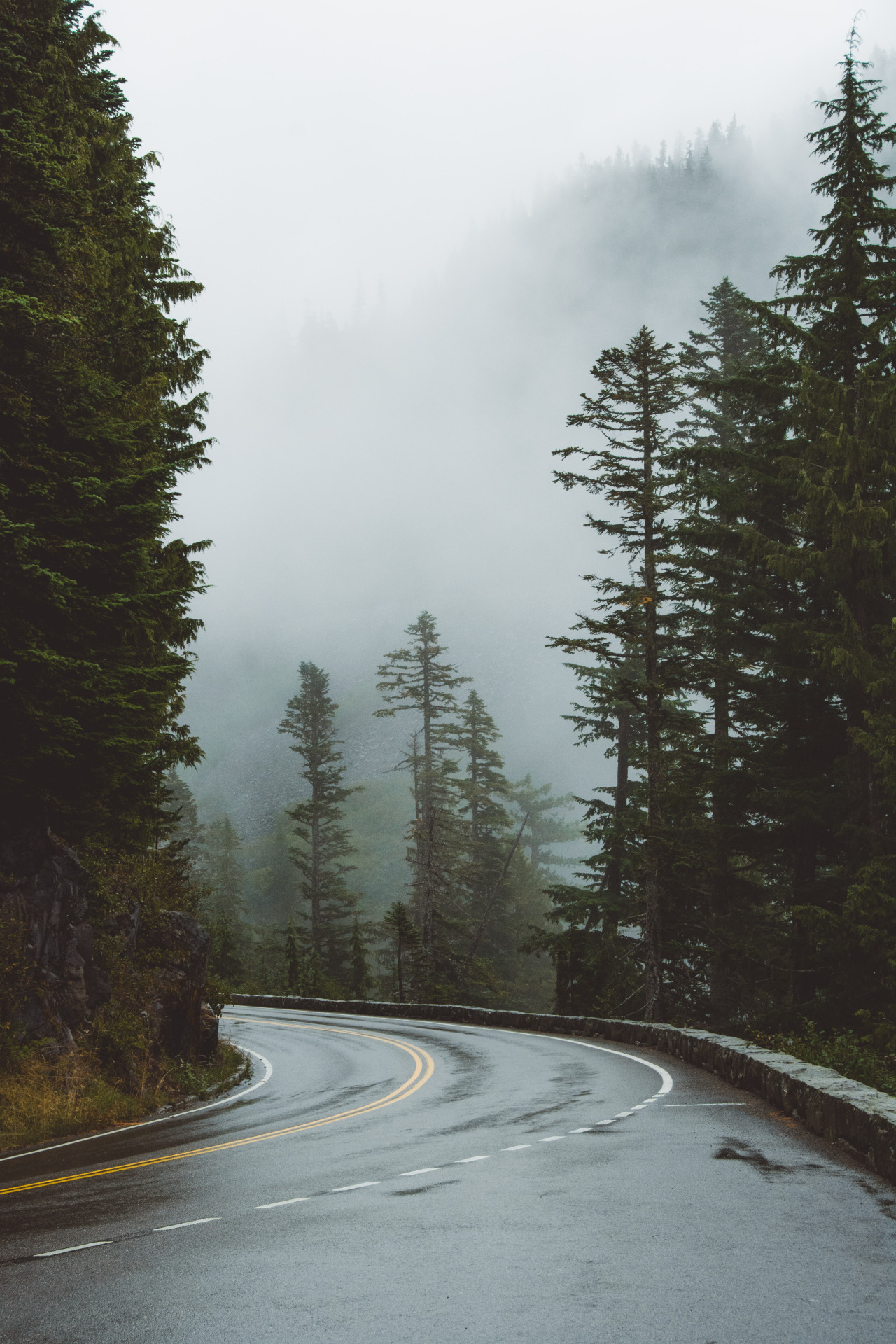 Archillect ID 371676