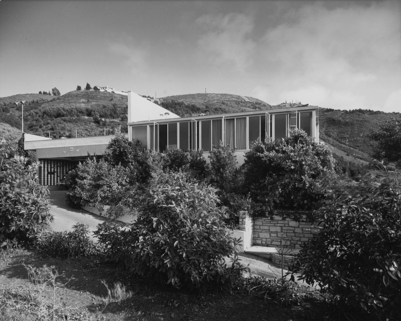 Archillect ID 371688