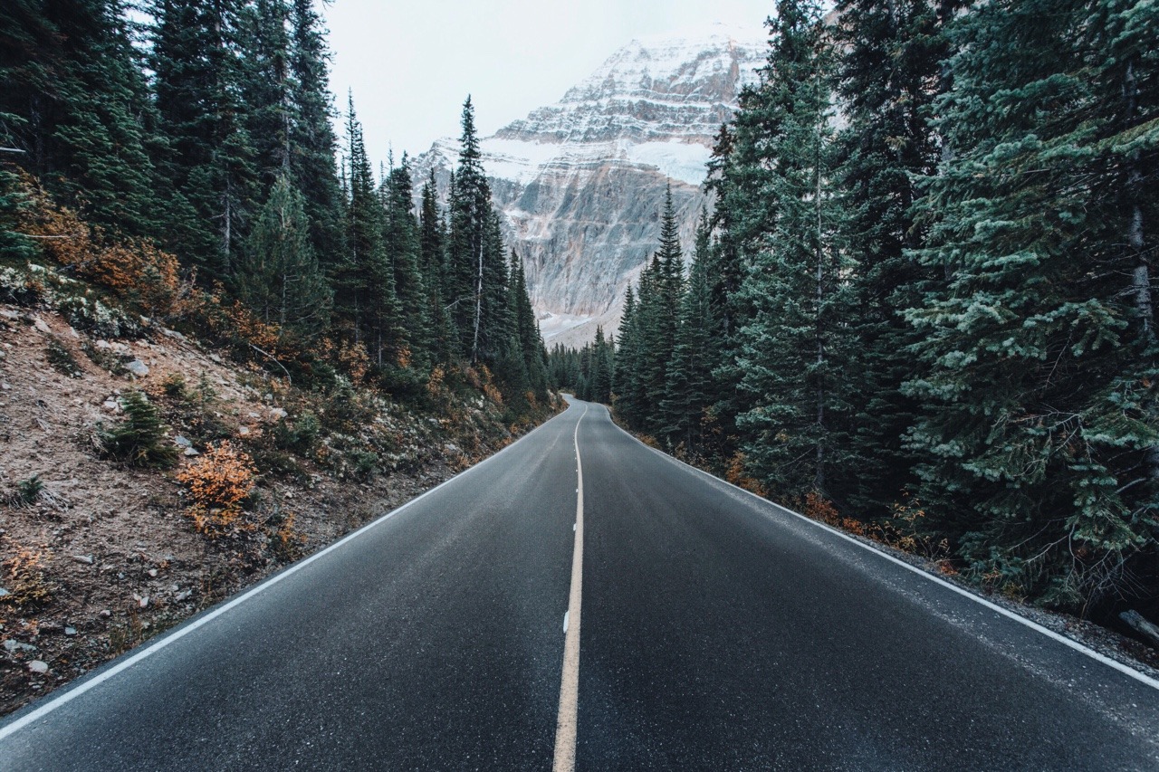 Archillect ID 371690