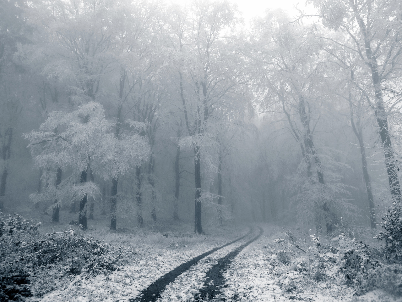 Archillect ID 371694