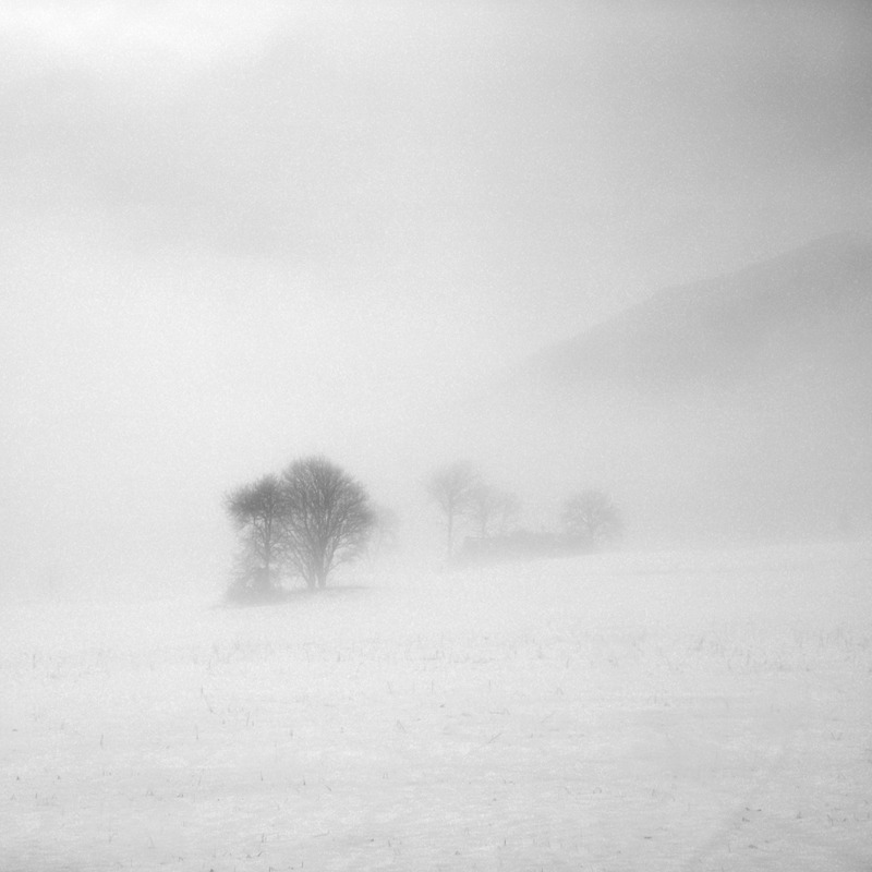 Archillect ID 371695