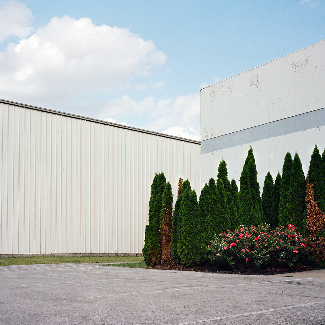 Archillect ID 371709