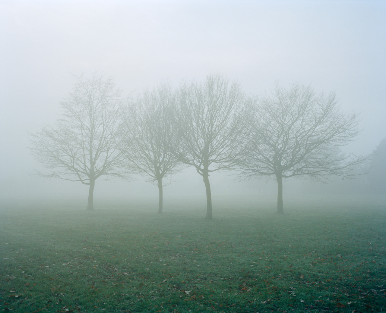 Archillect ID 371753