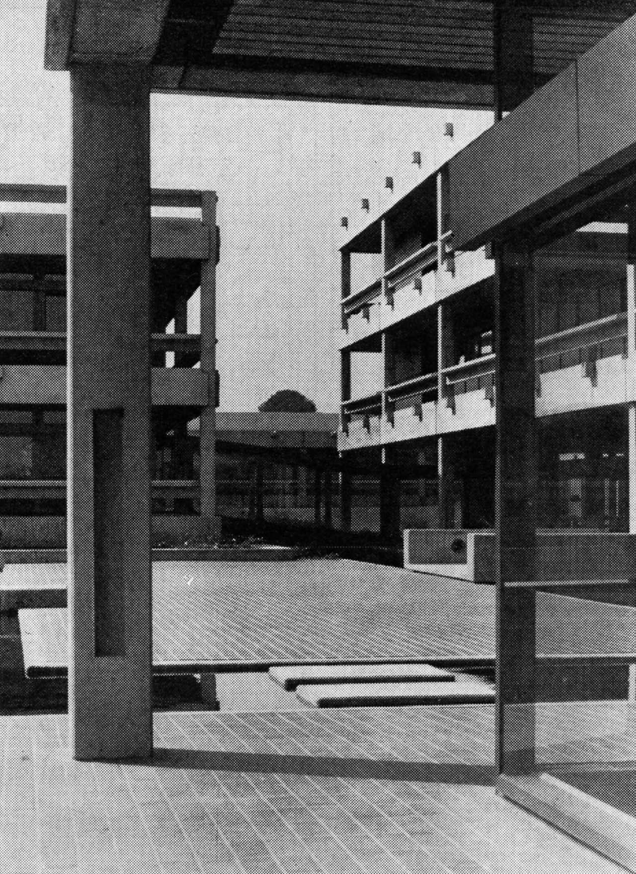 Archillect ID 371764