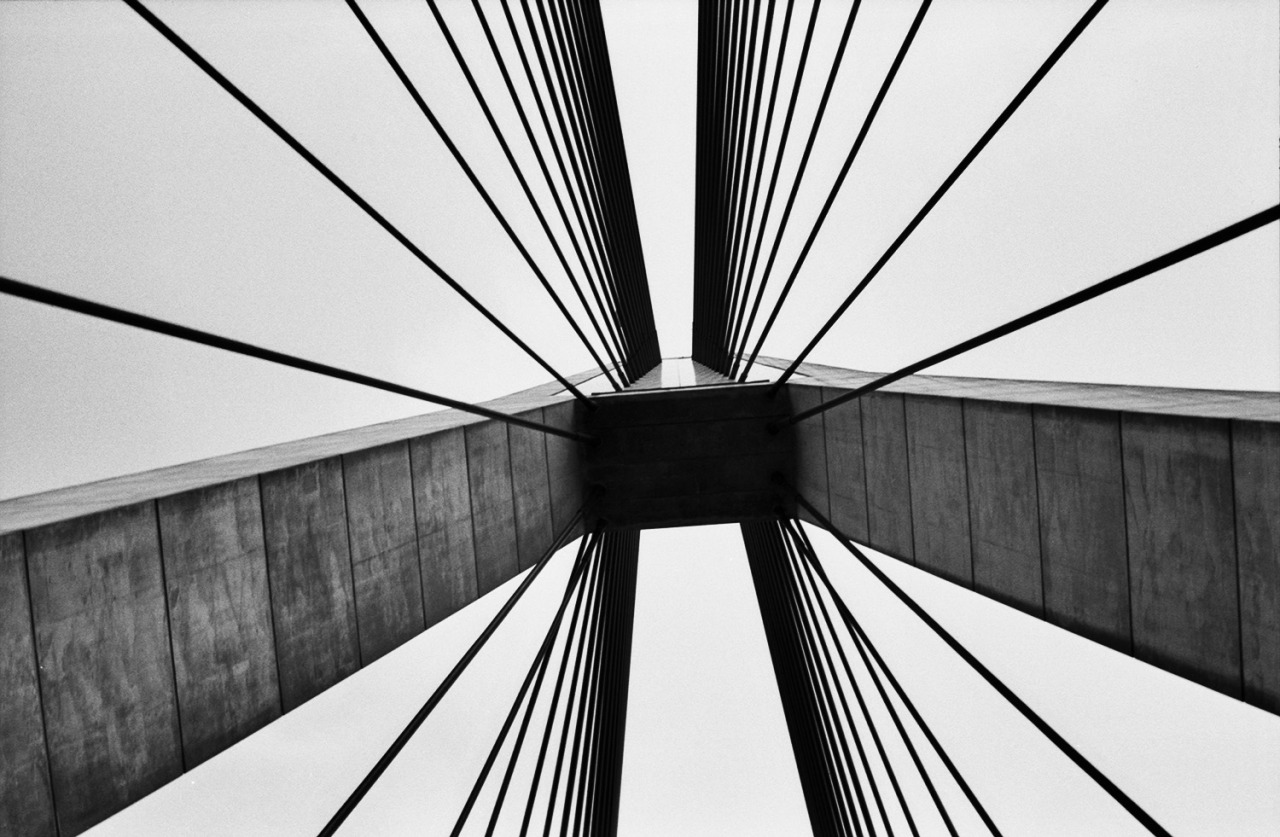 Archillect ID 371809