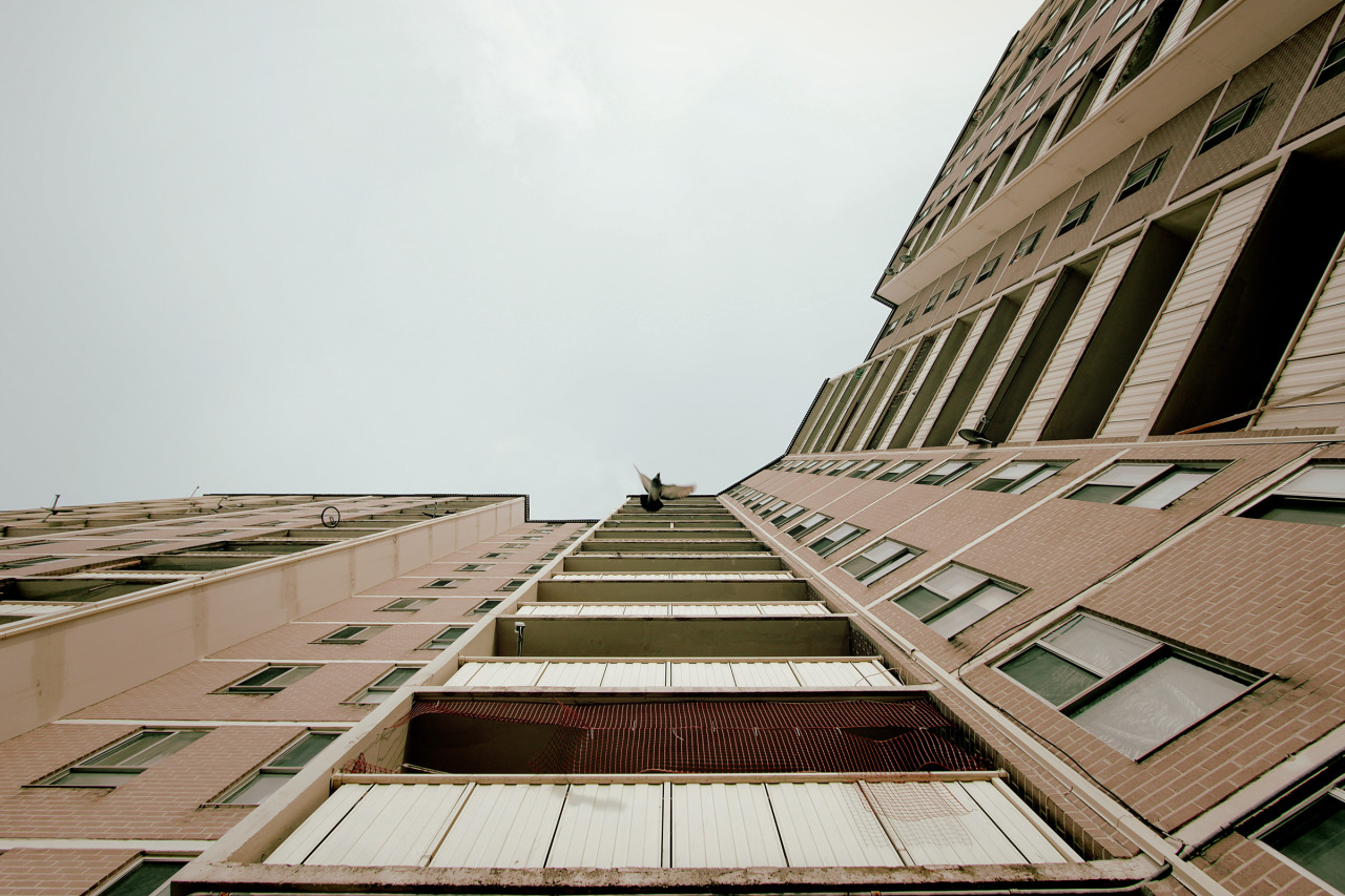 Archillect ID 371837