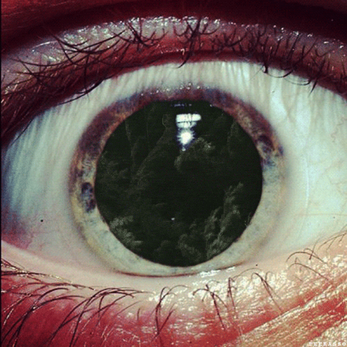 Archillect ID 371846