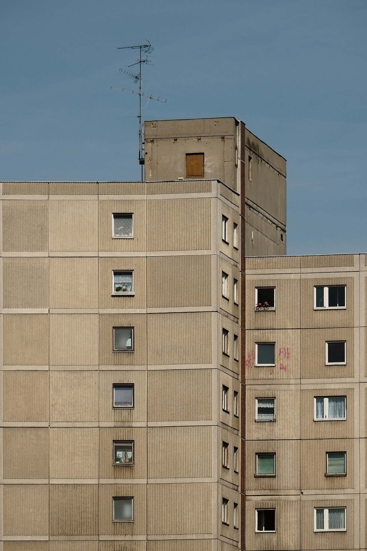 Archillect ID 371888