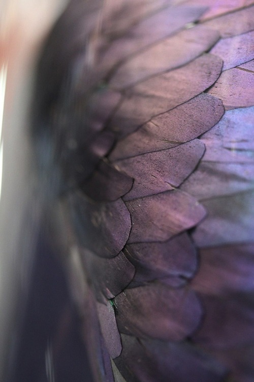 Archillect ID 371896