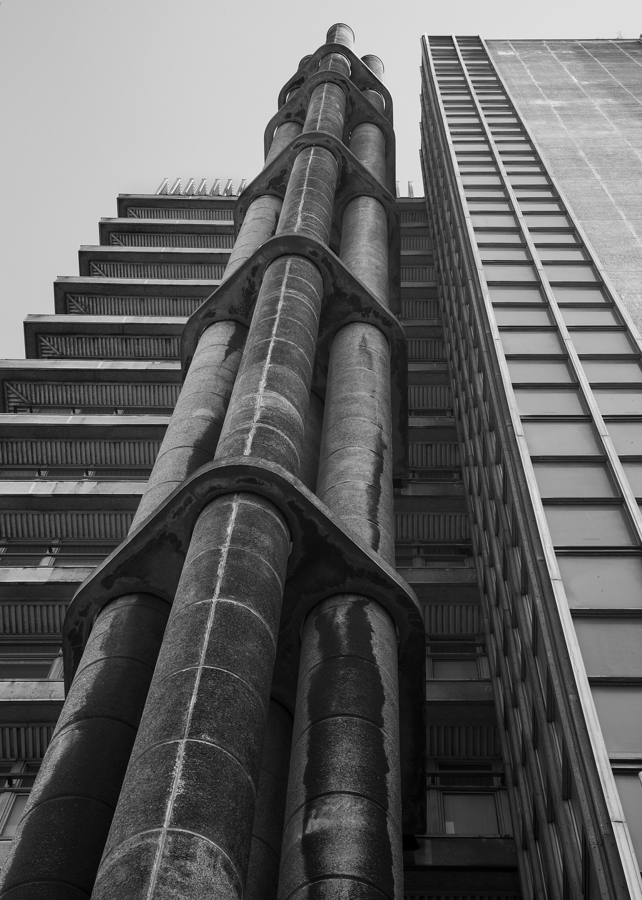 Archillect ID 371912