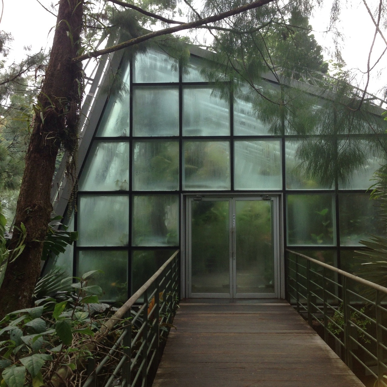 Archillect ID 371928