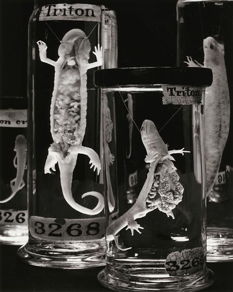 Archillect ID 371931