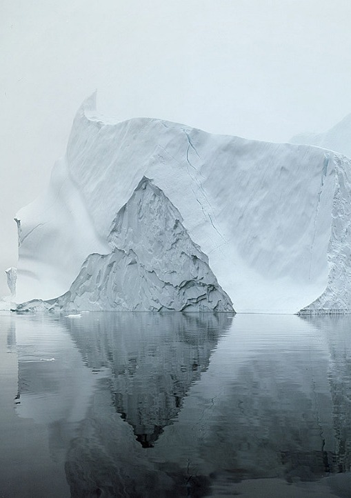 Archillect ID 371937