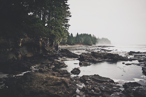 Archillect ID 371955