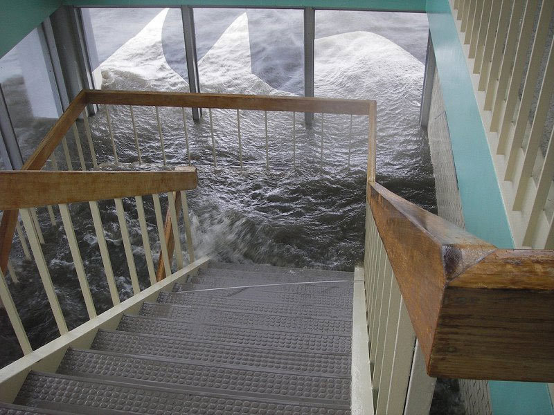 Archillect ID 371967