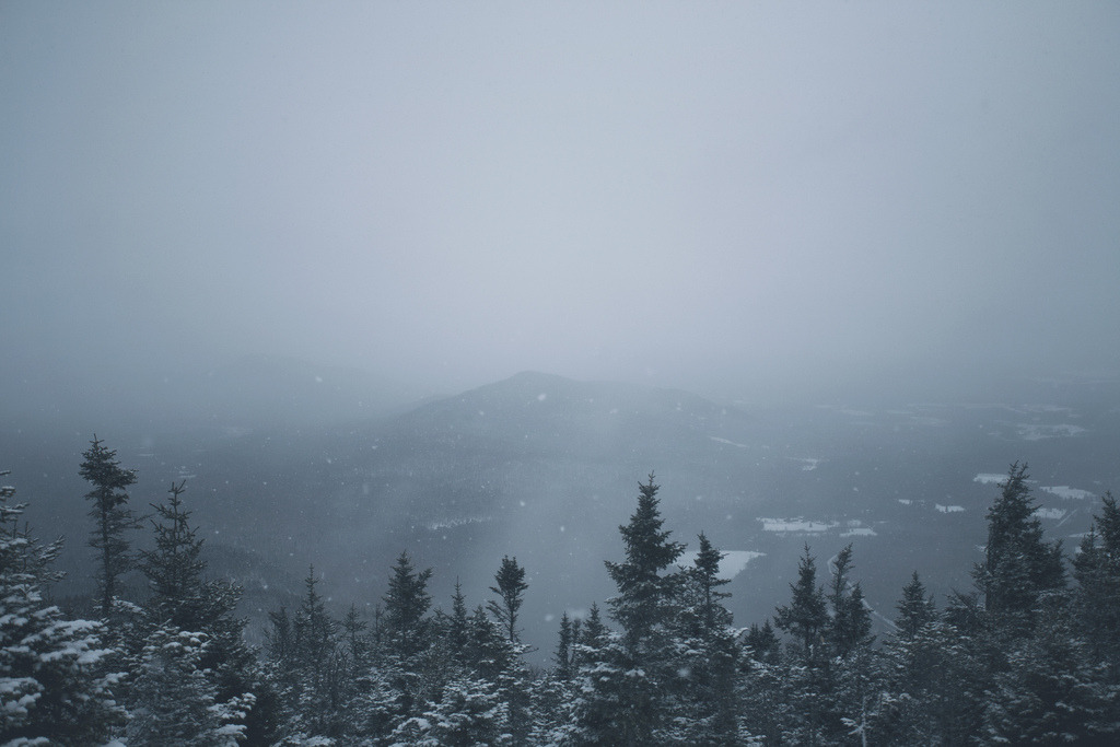 Archillect ID 372034