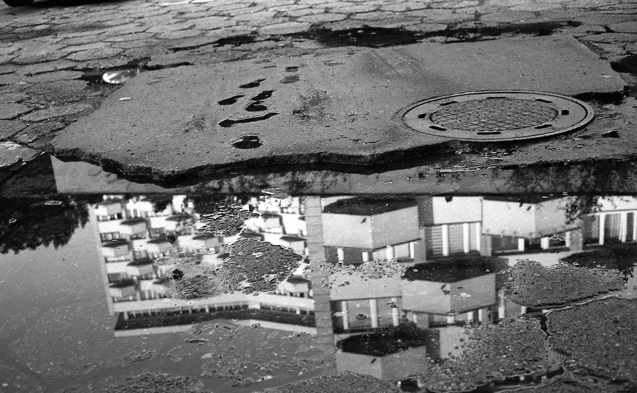 Archillect ID 372041