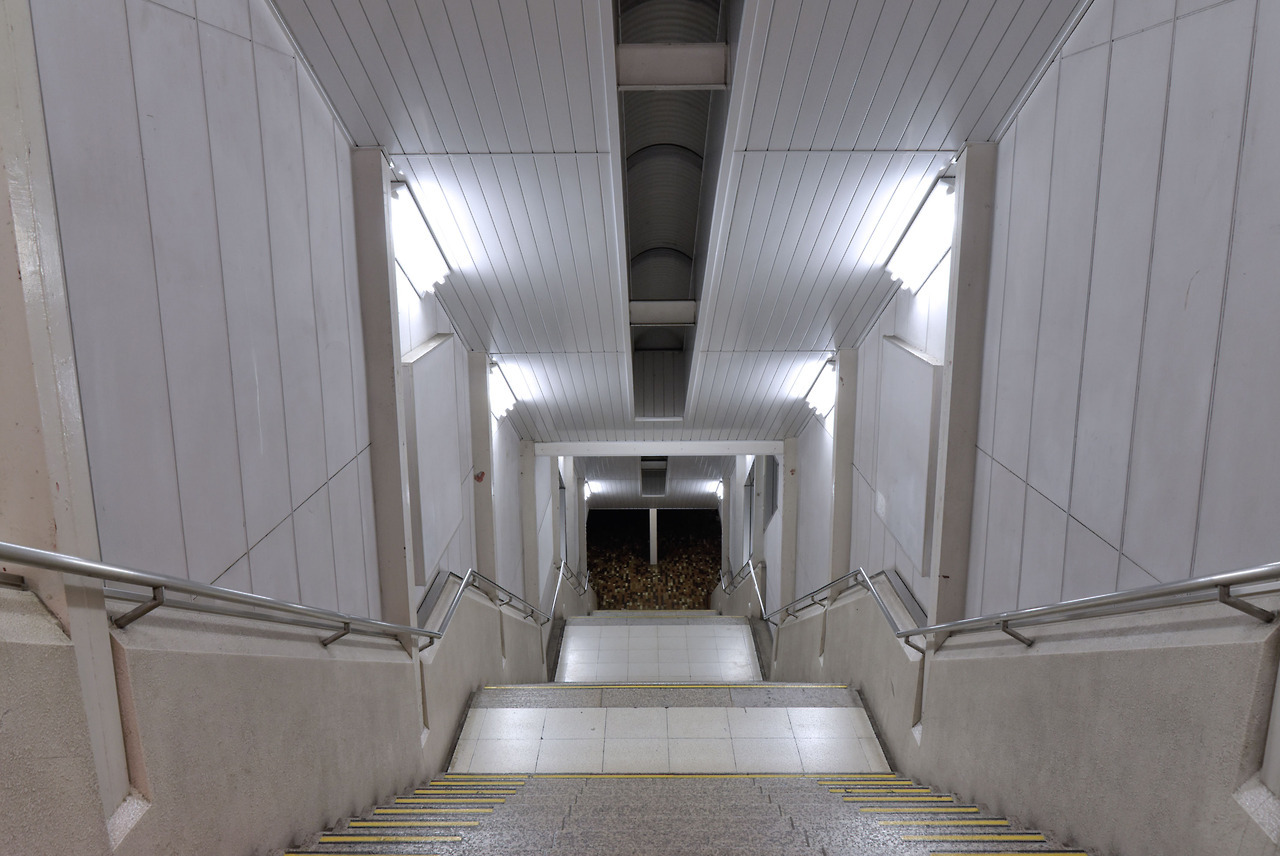 Archillect ID 372074